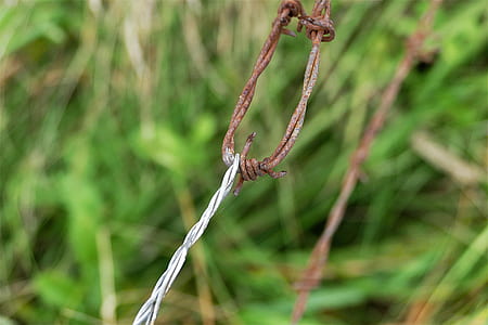 close up photo rusted barbwire thumbnail