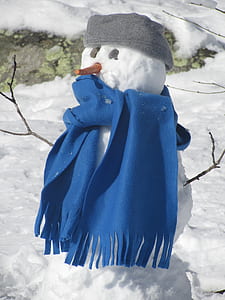 snowman with blue scarf thumbnail
