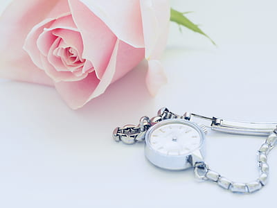 round silver-colored analog watch on gray surface beside pink rose thumbnail