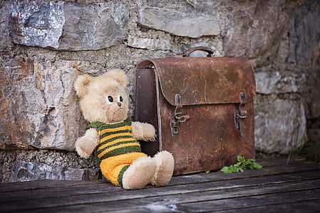 bear plush toy beside brown leather handbag thumbnail