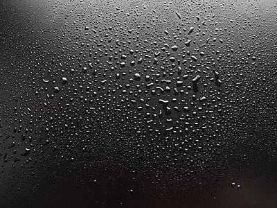 macro photography of water dew on black surface thumbnail