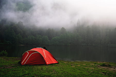 Camping by Foggy Forest in Red Tent thumbnail