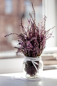 selective focus photography of purple cluster flowers in clear glass vase on white wooden table thumbnail