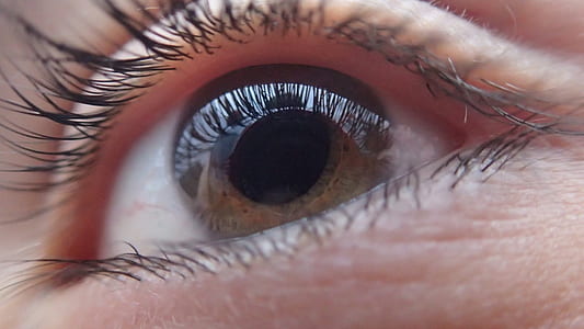 Extreme Close-up of Woman Eye thumbnail