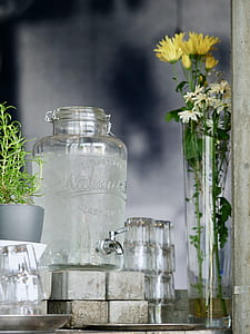 yellow and white flowers near water dispenser thumbnail