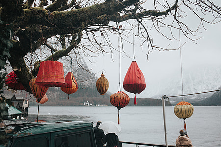 several paper lanterns hanged on withered tree thumbnail