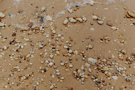 Sand beach background with sea shells & pebbles - many round small stones thumbnail
