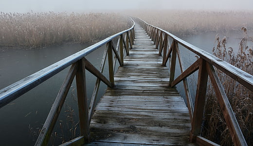 photo of boardwalk along body of water thumbnail