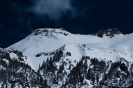 mountain alp surrounded with tall trees thumbnail