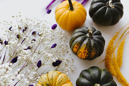 Small yellow and dark green pumpkins on a white background thumbnail