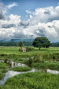 green grass field near mountain under white sky and blue clouds thumbnail