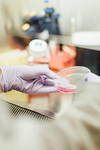 person holding clear plastic container thumbnail