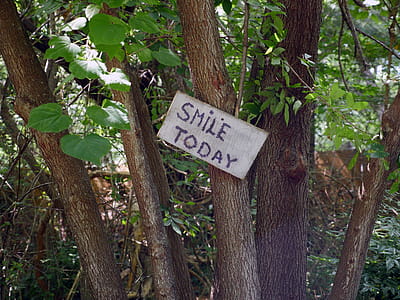 Wooden sign on a trail in the Forest that says smile today thumbnail