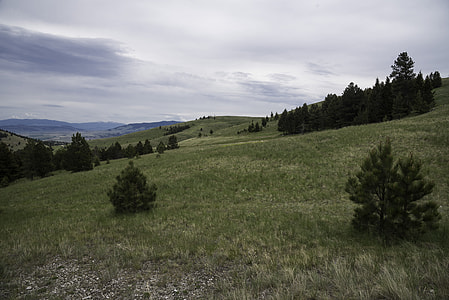 Looking across the grasslands on Mount Ascension, Helena thumbnail