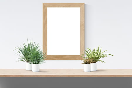 rectangular brown wooden frame wall decor and spider plant thumbnail