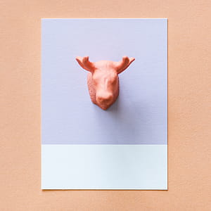 art, creative, purple, animal thumbnail
