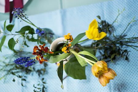 yellow petaled flowers in vase thumbnail