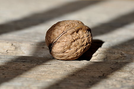 pecan nut thumbnail