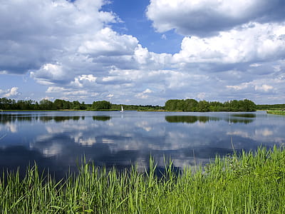 Green Grass Field Near Body of Water thumbnail