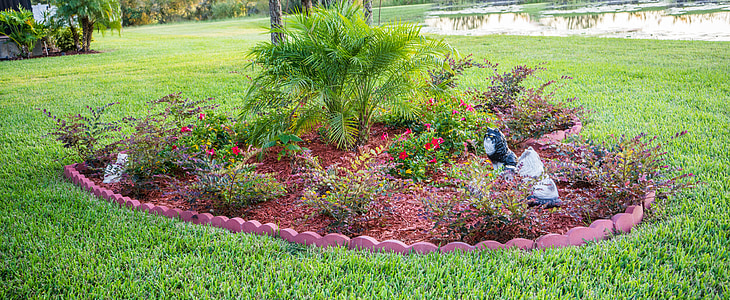 photography of green palm plant during daytime thumbnail