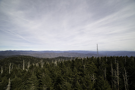 Hills, radio tower, and sky with trees from Clingman's Dome, Tennessee thumbnail