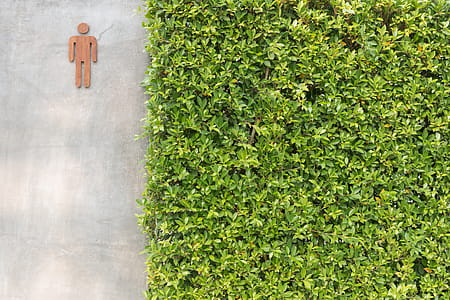 Male Toilet Seat Door Near Green Grasses thumbnail