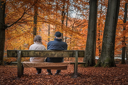 man and woman wearing jacket sitting on bench under brown leaf trees during daytime thumbnail