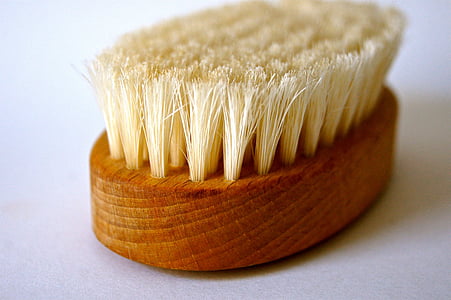 selective focus photograph brush thumbnail