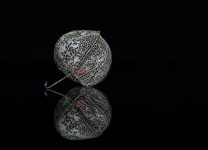 two gray flowers thumbnail