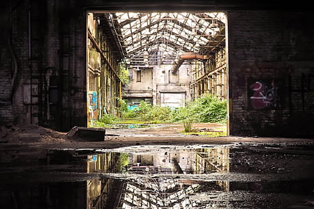 brown concrete building thumbnail
