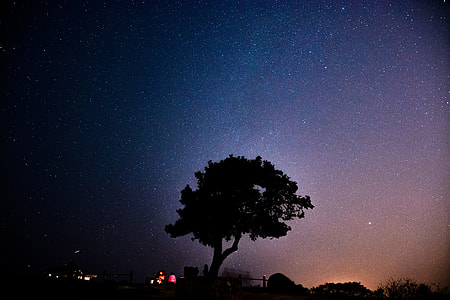 Stars with tree at night  thumbnail