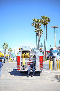 fire truck near palm trees thumbnail