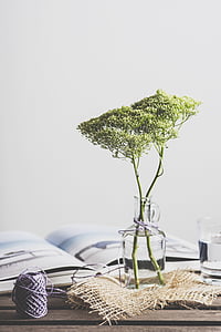 grey yarn ball on table next to tree in glass bottle thumbnail
