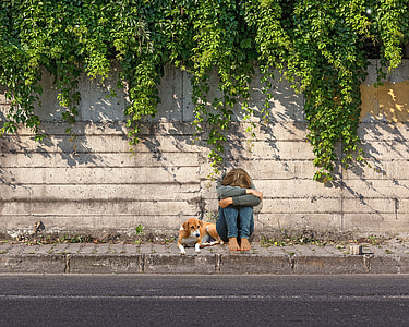woman and brown dog sitting beside road during daytime thumbnail