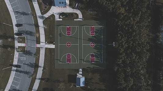 aerial view of trees thumbnail