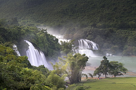 waterfalls near trees thumbnail