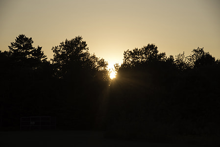Sunset behind the Trees at J.W. Wells State Park, Michigan thumbnail
