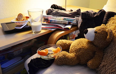 brown bear plush toy thumbnail