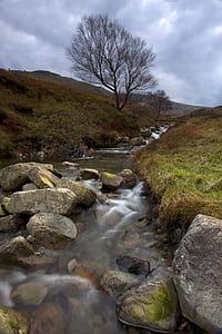 Waters Flowing Calmly in the River thumbnail