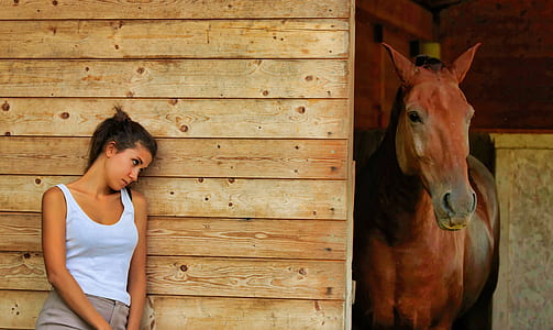 woman hiding on wall beside brown horse thumbnail