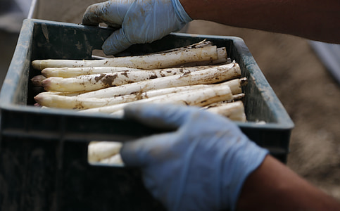 person holding crate of root crops thumbnail