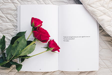 three red rose on open book thumbnail