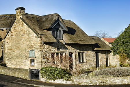 green tree beside brown brick house at daytime thumbnail