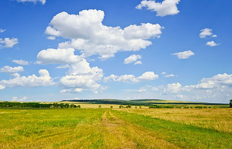 green and yellow field under white clouds and blue sky thumbnail