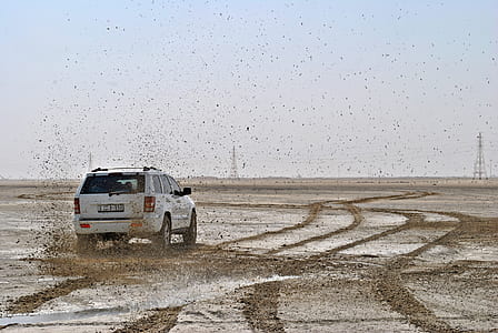 Photo of White Suv on Muddy Plain thumbnail