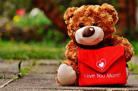 brown and white bear plush toy on gray pavement thumbnail