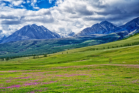 grass field near mountains during golden hour thumbnail