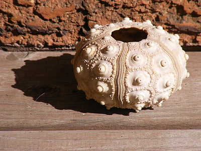 round white pot thumbnail