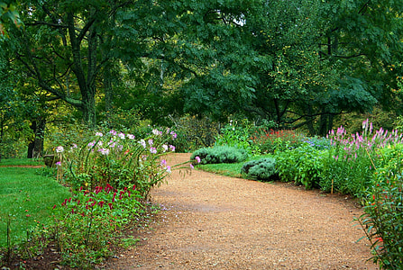 brown pavement pathway with green plants thumbnail