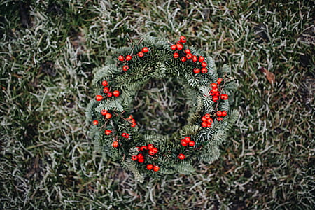 A Very Merry Fresh Holly Wreath for Christmas thumbnail